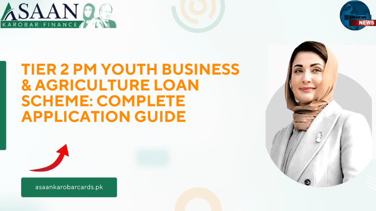 Tier 2 PM Youth Business & Agriculture Loan Scheme: Complete Application Guide