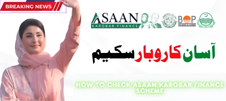 How to Check Asaan Karobar Finance Scheme Application Status (2025)